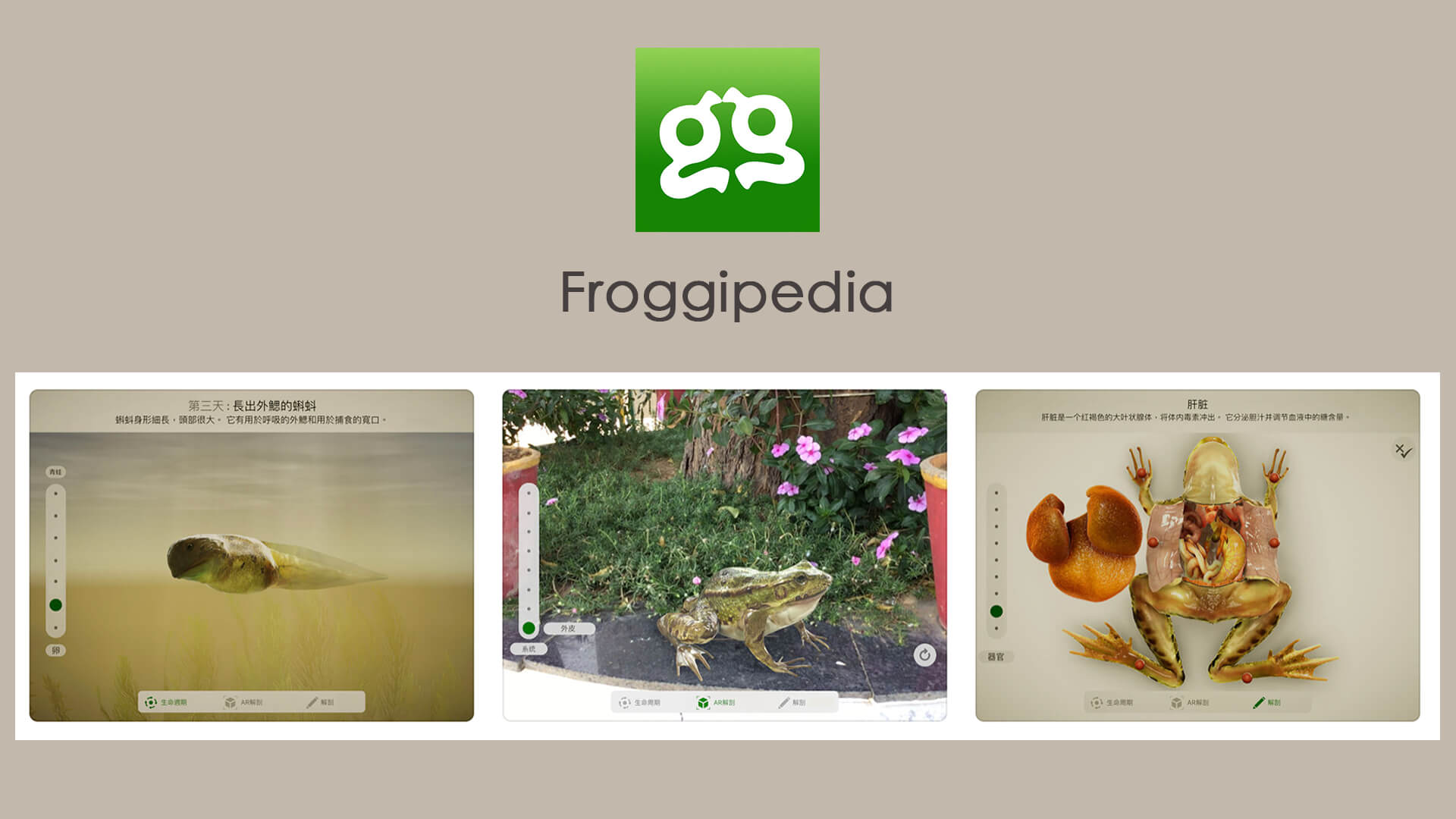 Froggipedia.jpg